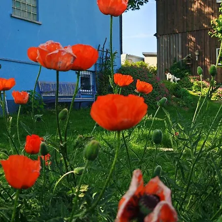 Zauberblick Am Rennsteig Frankenwald Freistehend Naturnah Hundefreundlich Eingezaeunt 펜션