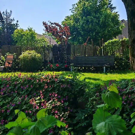 Zauberblick Am Rennsteig Frankenwald Holiday home Ludwigsstadt