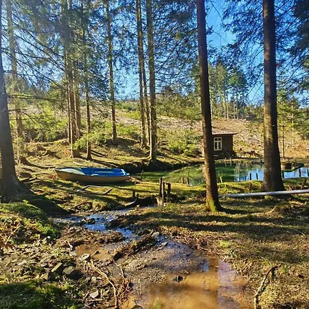 Zauberblick Am Rennsteig Frankenwald Freistehend Naturnah Hundefreundlich Eingezaeunt