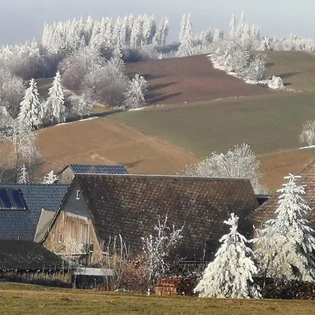 Zauberblick Am Rennsteig Frankenwald Holiday home Ludwigsstadt