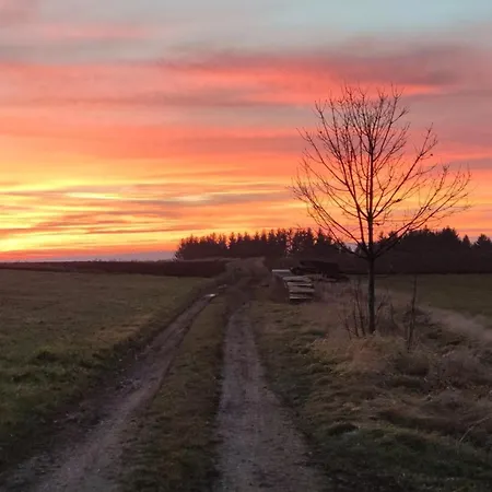Zauberblick Am Rennsteig Frankenwald Freistehend Naturnah Hundefreundlich Eingezaeunt Ludwigsstadt