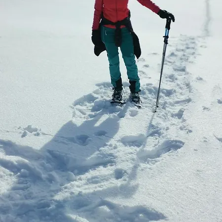 Zauberblick Am Rennsteig Frankenwald Freistehend Naturnah Hundefreundlich Eingezaeunt