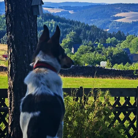 Zauberblick Am Rennsteig Frankenwald