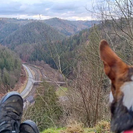 Zauberblick Am Rennsteig Frankenwald Ferienhaus *
