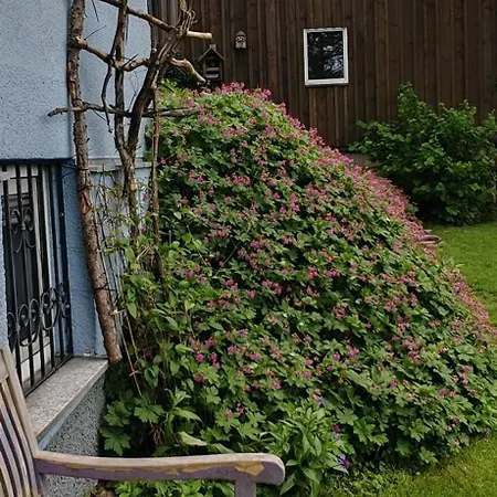 펜션 Zauberblick Am Rennsteig Frankenwald Freistehend Naturnah Hundefreundlich Eingezaeunt Ludwigsstadt