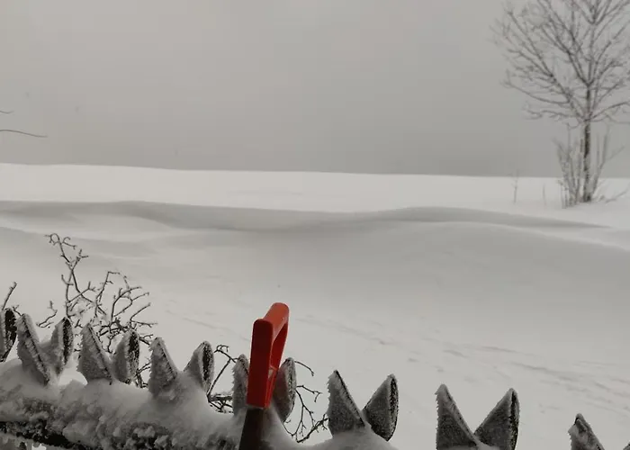 Zauberblick Am Rennsteig Frankenwald Freistehend Naturnah Hundefreundlich Eingezaeunt 펜션 *