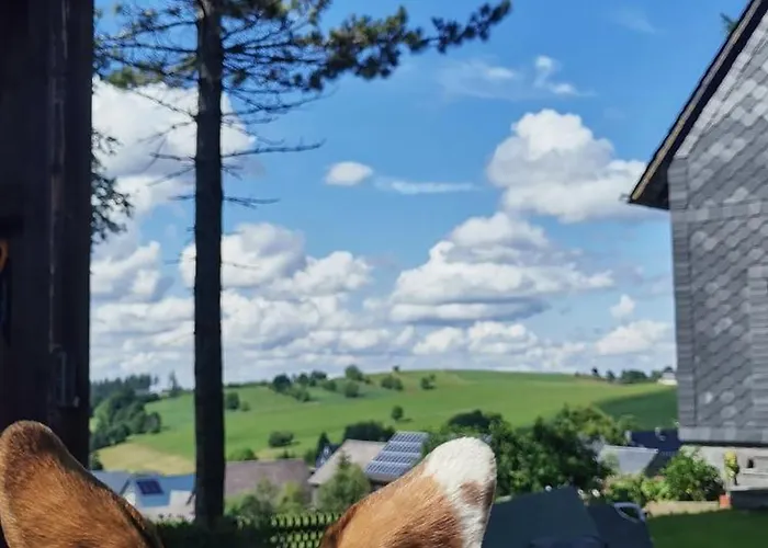 Zauberblick Am Rennsteig Frankenwald Freistehend Naturnah Hundefreundlich Eingezaeunt 펜션