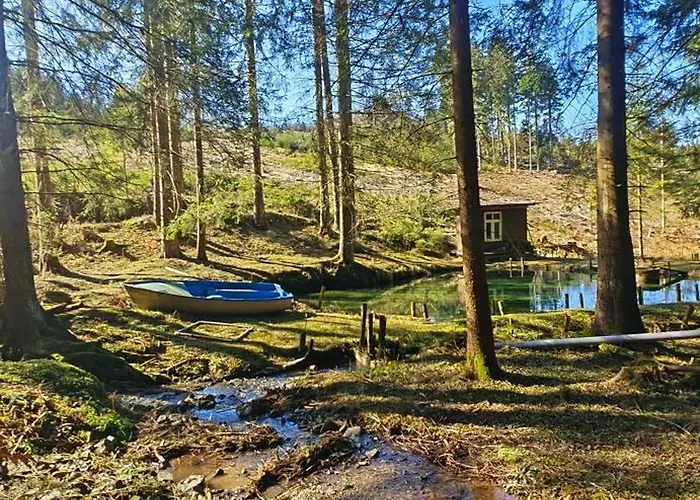 Zauberblick Am Rennsteig Frankenwald Freistehend Naturnah Hundefreundlich Eingezaeunt