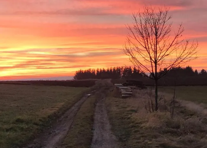 Zauberblick Am Rennsteig Frankenwald Freistehend Naturnah Hundefreundlich Eingezaeunt Ludwigsstadt